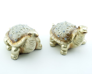 Golden turtles isolated on white background