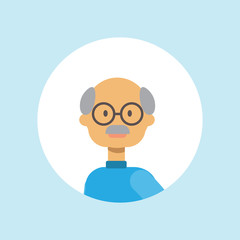 cute casual grandfather face happy man portrait on blue background, male avatar flat vector illustration