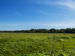 Obraz premium Russia, Moscow region