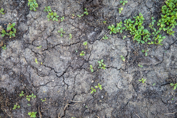 Nature background with broken soil