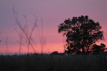 Fototapeta na wymiar Sunset at the village