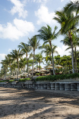 Fototapeta na wymiar Beach hotel with palm trees in Seminyak, Bali