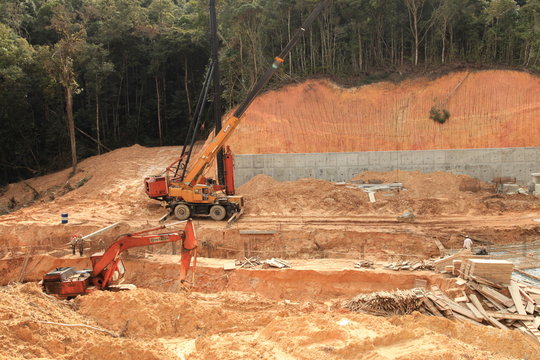 Deforestation to make way for hotel construction