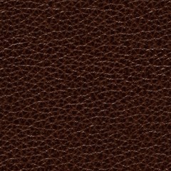 Fototapeta premium Contrast leather background for your new brown design.