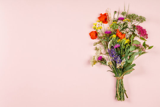 Wild flower bouquet on pastel color background