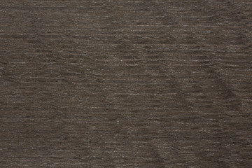 Stylish grey wenge veneer texture.