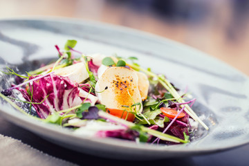 Vegetable salad with goat cheese and herb decoration