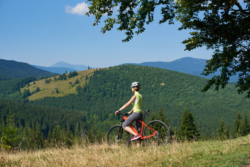 Back view of female cyclist in helmet standing with mountain bike on grassy hill under big green tree branch, enjoying beautiful view of mountain range on sunny summer day. Healthy lifestyle concept