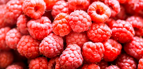 fresh raspberries macro shot