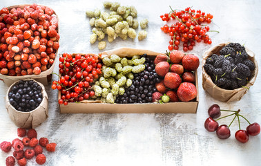 composition of different fruits