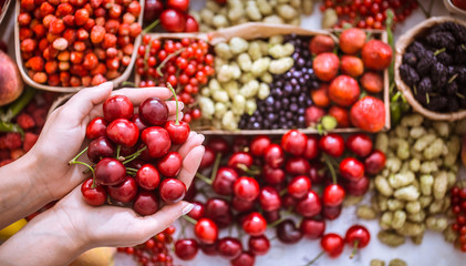 fresh cherry in the hands of a girl