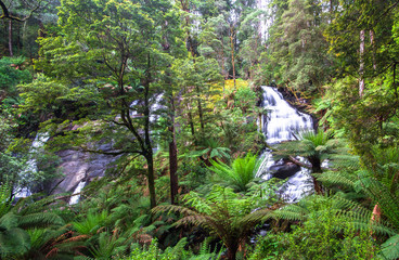 Triplet Falls in the Great Otway National Park, Victoria, Australia.