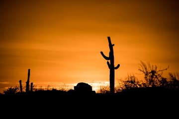 AZ Sunset