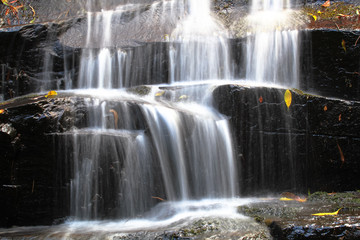 Fototapeta na wymiar Cora Lynn Falls in the Great Otway National Park, Victoria, Australia.