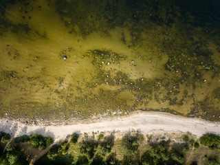 drone image. aerial view of Baltic sea shore with rocks and forest on land