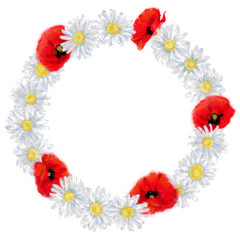 Daisy and Poppy Round Wreath Isolated on White. Watercolor Floral Frame with Text Copy Space.  Wildflower Wreath for Invitation, Card, Announcement, Advertising, Promotion, Flyer etc.