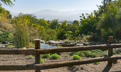 a view of the Moav Mountains in Jordan from the exotic botanical garden in eilat israel