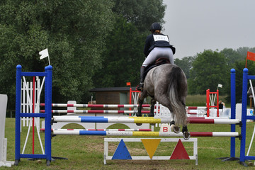 saut d'obstacle