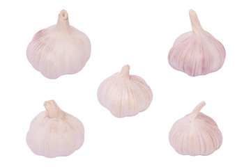 Garlic set isolated on white background.