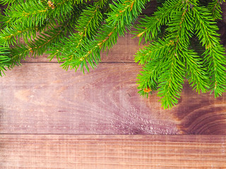 Christmas tree branches on wood background