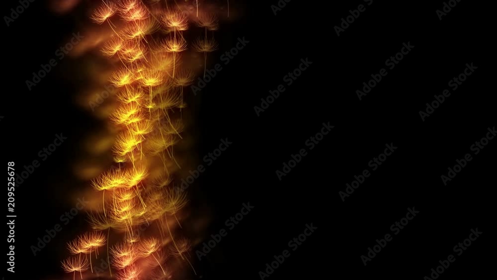 Aufkleber abstract bokeh light sparkles dandelion or tampopo blow pattern yellow and pink gradient color illus