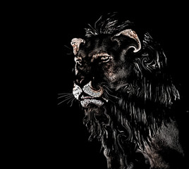 Abstract Lion at black background