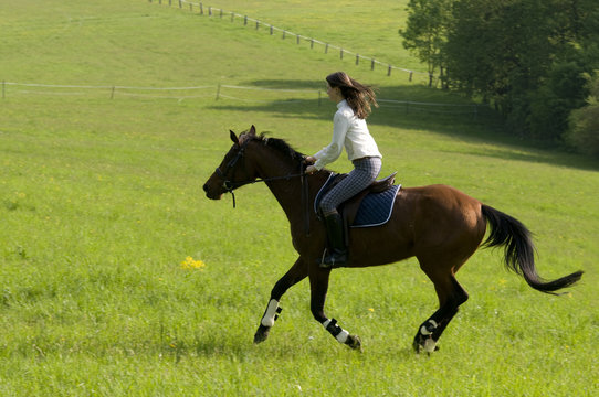 woman horse riding