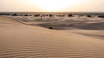 Fototapeta na wymiar Beautiful sand dune in Thar desert, Jaisalmer, Rajasthan, India.