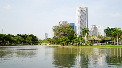 Fototapeta premium BANGKOK, THAILAND - MARCH 8, 2017: A large pool with beautiful sky in the Jatujak park that is the place for people to relax in Bangkok in the afternoon