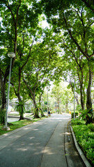 BANGKOK, THAILAND - MARCH 11, 2017: A walk way and green forest in the Santiphab park, the place for people to relax in Bangkok in the afternoon with fresh air.
