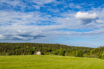 Fototapeta na wymiar Summer day. Abandoned house in the background of the forest. House in a meadow.