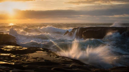 Platschende Wellen in Muriwai Beach, West Auckland, Neuseeland © Janice