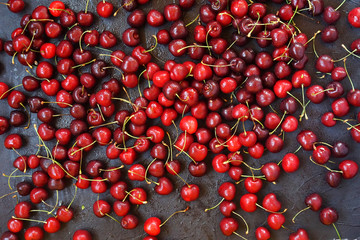 red and Burgundy cherry with flowering branches on a black textured background with water drops