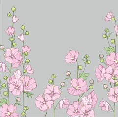Malva sylvestris. Wild pink mallow. Wildflowers. Flowering in summer, medicinal plants.
