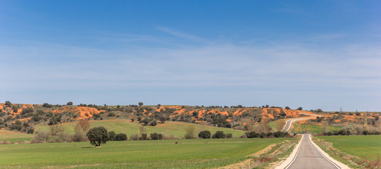 Fototapeta premium Panorama of a narrow road in Castilla y Leon near Ayllon, Spain