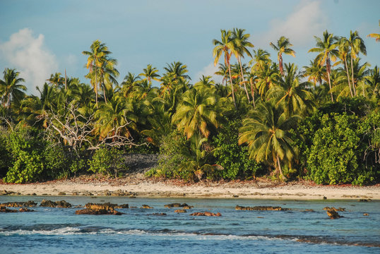 Tetiaroa landscape, French Polynesia