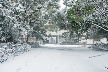 大雪の記録　関東