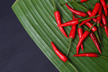 Red Thai chillies.Organic ingredient thai food.