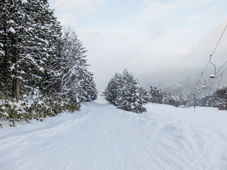 スキー場　林間コース