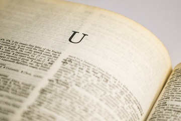 Fototapeta premium Roman letter on book