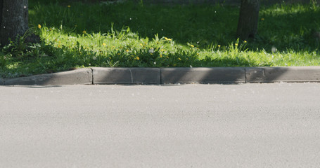 poplar fluff on a street