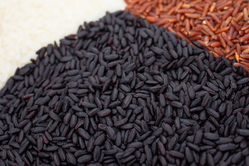 Raw white, black and brown rice. Healthy diet food