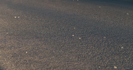 poplar fluff slowly falling on a street at sunset