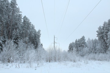 Snow White Forest. Power line. Russia, January, 2018.