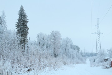 Power line support and winter snow forest. Russia, January, 2018.