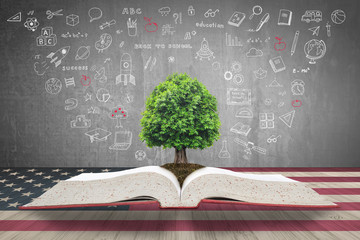 Tree of knowledge growing on open textbook with doodle onUSA flag wood table for educational investment and success concept