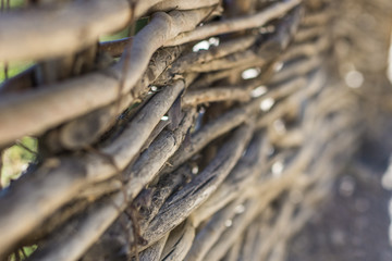 Wicker fence closeup, background, focus with shallow depth of field