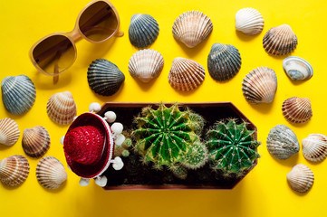 background of sea shells and small cacti. The concept of marine recreation. Fashionable bright colors. Tropical mood on a yellow background.Flat lay,closeup,copy space