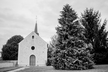 Church   And Tree