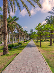 Pedestrian walkway framed with trees and palm trees on both sides with partly cloudy sky in a summer day, Montana public park, Alexandria, Egypt